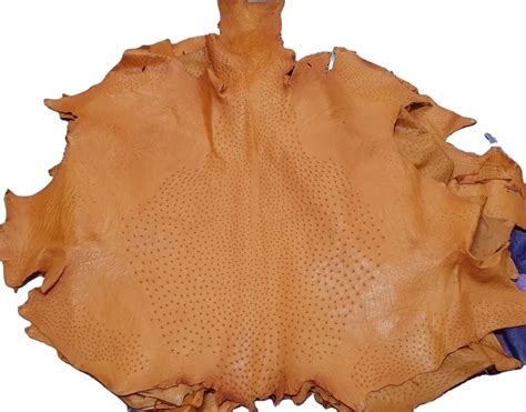 genuine ostrich skin